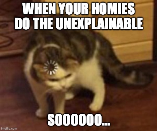 Loading cat | WHEN YOUR HOMIES DO THE UNEXPLAINABLE; SOOOOOO... | image tagged in loading cat | made w/ Imgflip meme maker