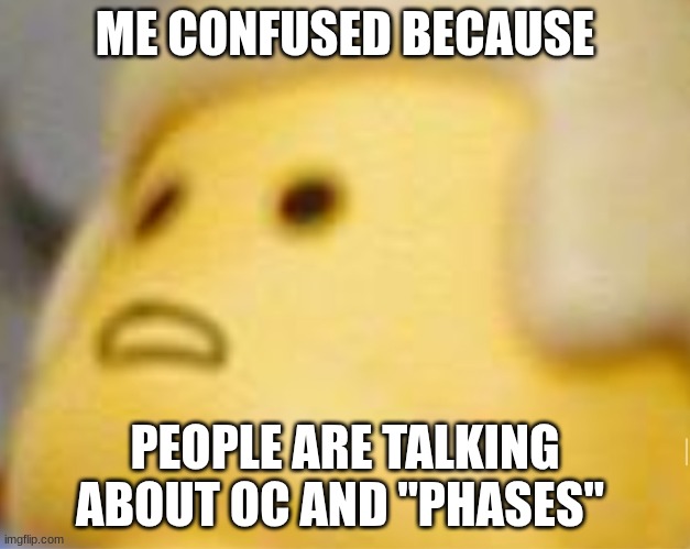 erm what the sigma | ME CONFUSED BECAUSE; PEOPLE ARE TALKING ABOUT OC AND "PHASES" | image tagged in uhhh,lego,oc,sprunki | made w/ Imgflip meme maker