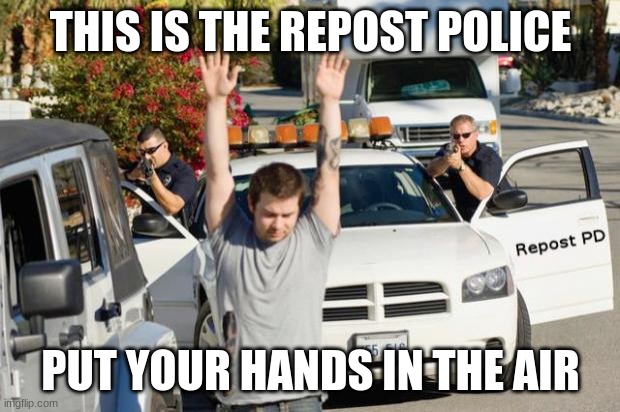 Repost Police | THIS IS THE REPOST POLICE PUT YOUR HANDS IN THE AIR | image tagged in repost police | made w/ Imgflip meme maker