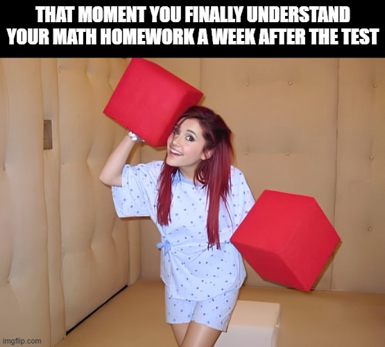 math homework | THAT MOMENT YOU FINALLY UNDERSTAND YOUR MATH HOMEWORK A WEEK AFTER THE TEST | image tagged in memes | made w/ Imgflip meme maker