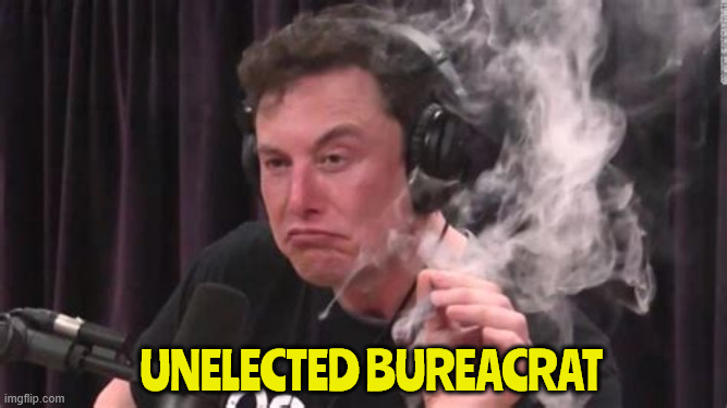 Unelected Bureacrat | UNELECTED BUREACRAT | image tagged in unelected bureacrat,trump doesn't like unelected bureacrts,he doesn't want illegal drugs,nazi,maga monach | made w/ Imgflip meme maker