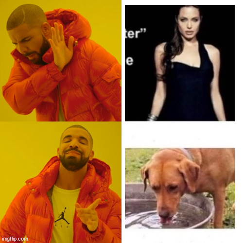 Drake Hotline Bling Meme | image tagged in memes,drake hotline bling | made w/ Imgflip meme maker