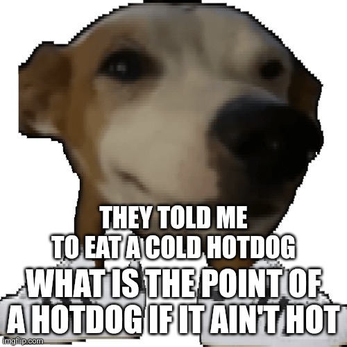 Cold Hotdogs | THEY TOLD ME TO EAT A COLD HOTDOG; WHAT IS THE POINT OF A HOTDOG IF IT AIN'T HOT | image tagged in milo slides,food,cold,funny,shower thoughts | made w/ Imgflip meme maker