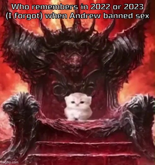 Kitty :3 | Who remembers in 2022 or 2023 (I forgot) when Andrew banned sex | image tagged in kitty 3 | made w/ Imgflip meme maker