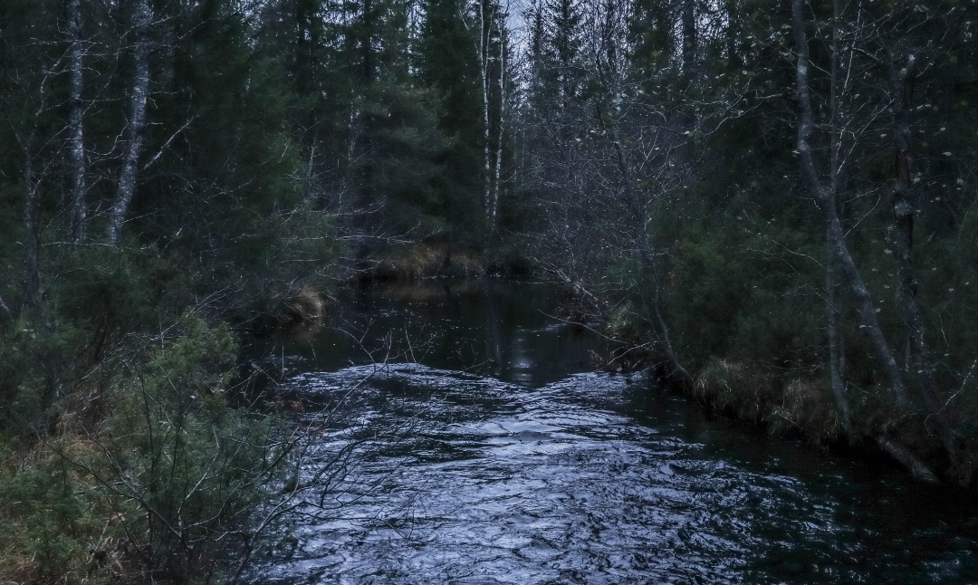 Kajaani in Finland)  Canon EOS 250D EF-S 18-55mm Blank Meme Template