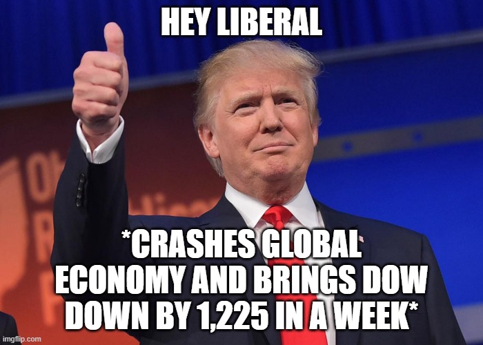 donald trump | HEY LIBERAL; *CRASHES GLOBAL ECONOMY AND BRINGS DOW DOWN BY 1,225 IN A WEEK* | image tagged in donald trump | made w/ Imgflip meme maker