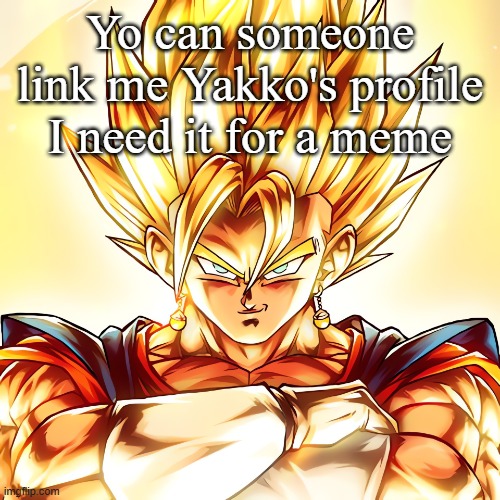Vegito stanced tf up | Yo can someone link me Yakko's profile I need it for a meme | image tagged in vegito stanced tf up | made w/ Imgflip meme maker