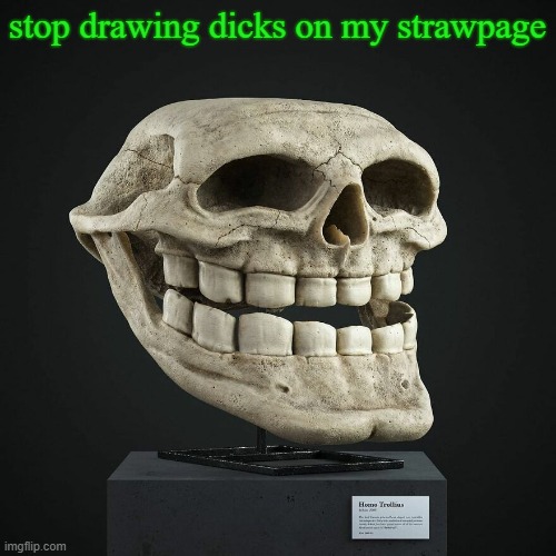 troll announcement temp | stop drawing dicks on my strawpage | image tagged in troll announcement temp | made w/ Imgflip meme maker