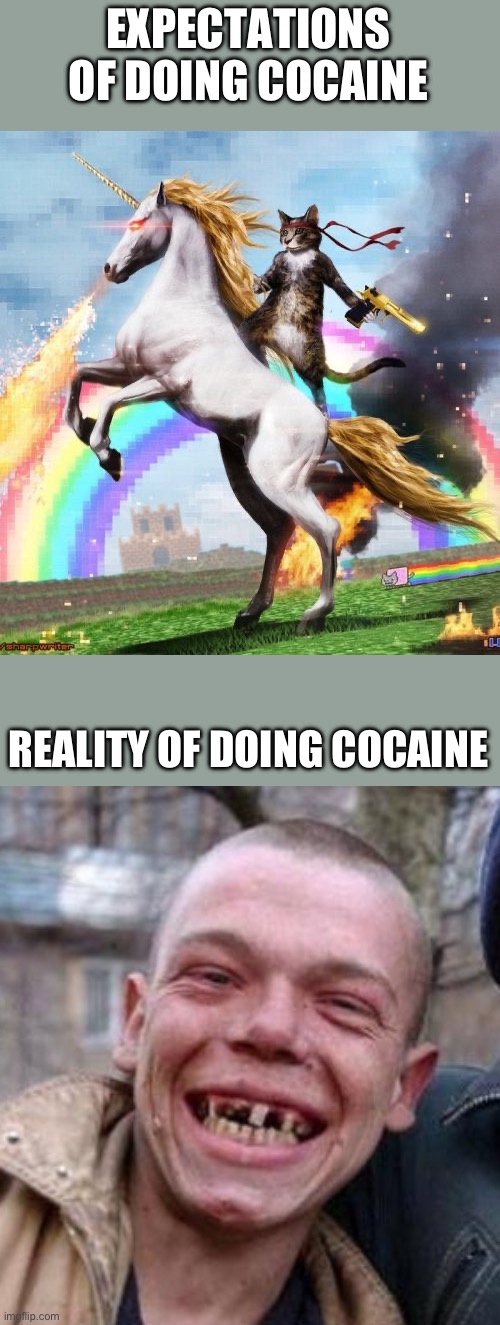 I don’t care I’m still doing it | EXPECTATIONS OF DOING COCAINE; REALITY OF DOING COCAINE | image tagged in memes,welcome to the internets,crack head | made w/ Imgflip meme maker