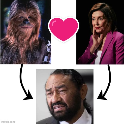 image tagged in al green,chewbacca,wookie,nancy pelosi,liberals | made w/ Imgflip meme maker