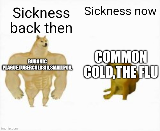 Sickness | Sickness now; Sickness back then; BUBONIC PLAGUE,TUBERCULOSIS,SMALLPOX, COMMON COLD,THE FLU | image tagged in two dogs,disease | made w/ Imgflip meme maker