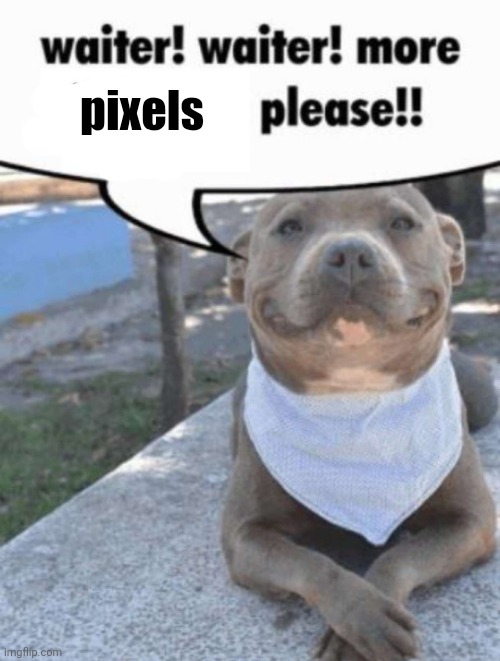 pixels | image tagged in waiter pit bull | made w/ Imgflip meme maker