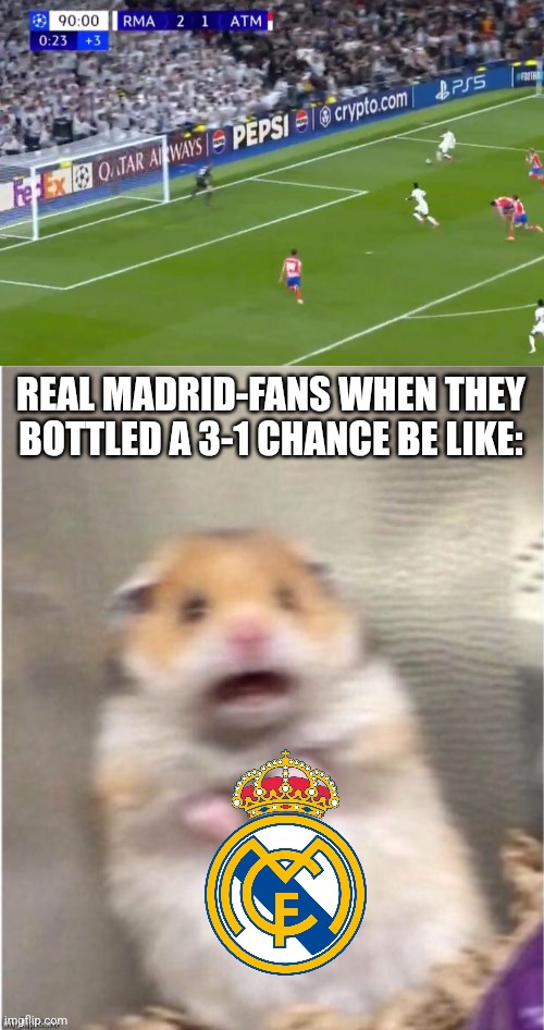 Real Madrid-Atlético 2:1 | REAL MADRID-FANS WHEN THEY BOTTLED A 3-1 CHANCE BE LIKE: | image tagged in scared hamster,real madrid,atletico,champions league,footy | made w/ Imgflip meme maker