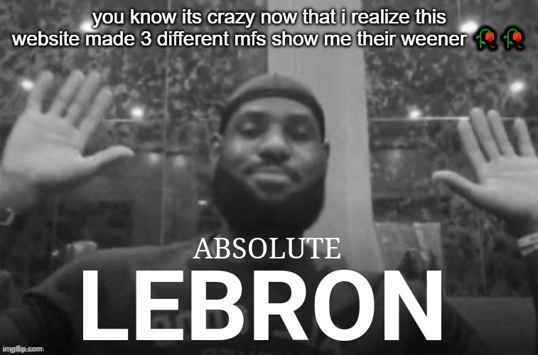 glad i snapped out of  the freak phase | you know its crazy now that i realize this website made 3 different mfs show me their weener 🥀🥀 | image tagged in absolute lebron | made w/ Imgflip meme maker