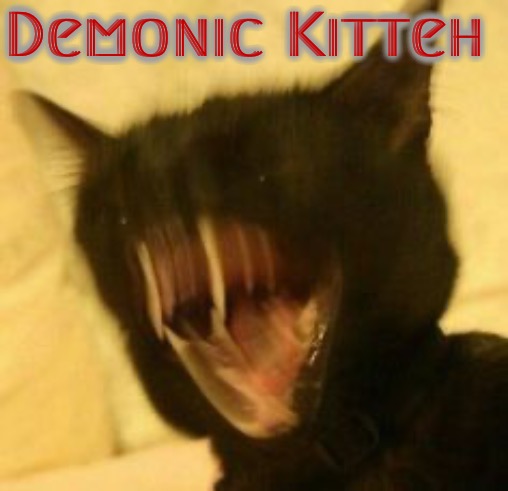 Demonic Kitteh | Demonic Kitteh | image tagged in memes,cats,high-pitched demonic screeching,possessed,funny,rage | made w/ Imgflip meme maker