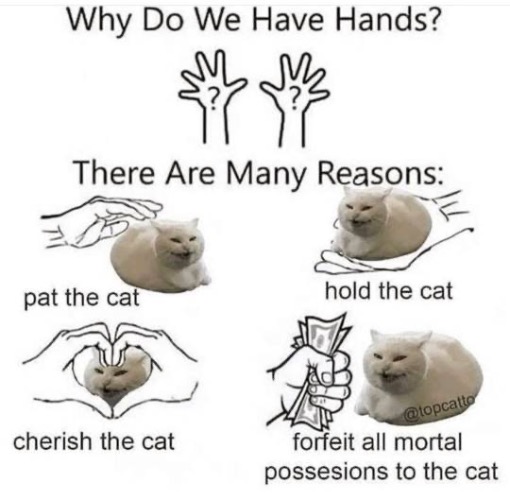 Why We Have Hands | image tagged in memes,cats,funny,royals,turds,obey | made w/ Imgflip meme maker