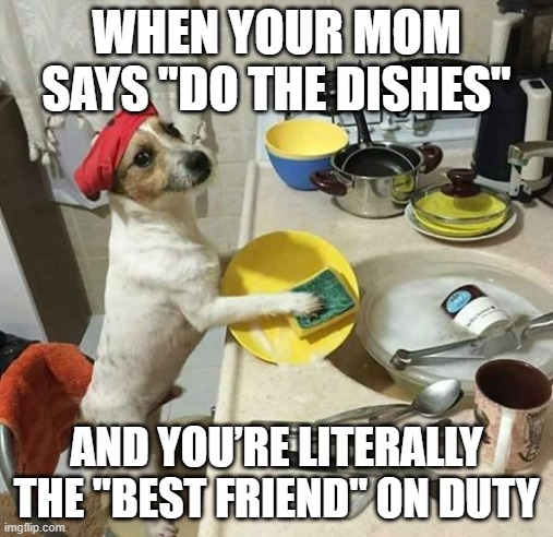 dishes | WHEN YOUR MOM SAYS "DO THE DISHES"; AND YOU’RE LITERALLY THE "BEST FRIEND" ON DUTY | image tagged in memes | made w/ Imgflip meme maker