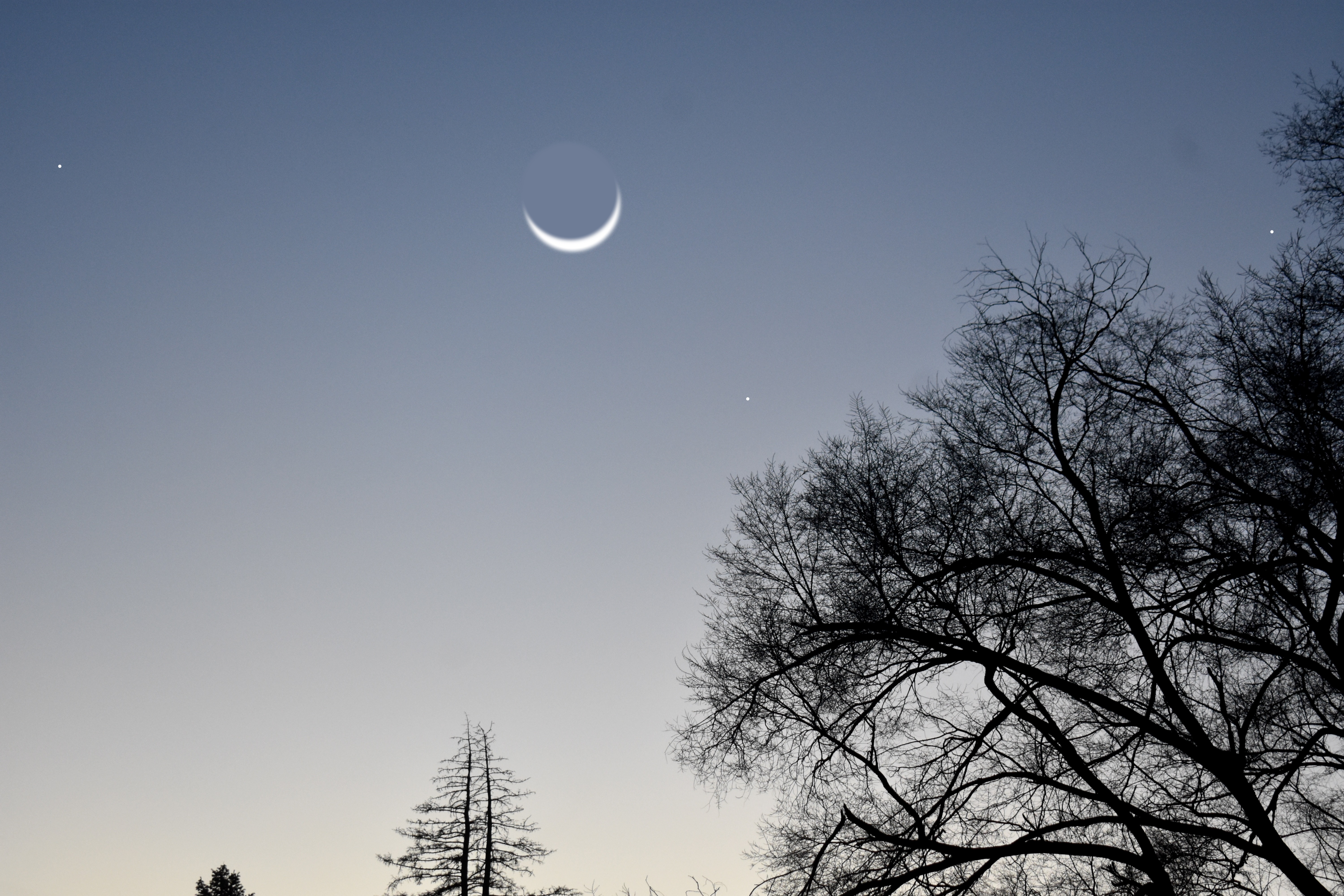 crescent moon my back yard | image tagged in crescent moon,kewlew | made w/ Imgflip meme maker