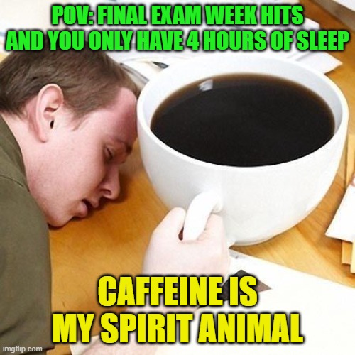 Caffeine | POV: FINAL EXAM WEEK HITS AND YOU ONLY HAVE 4 HOURS OF SLEEP; CAFFEINE IS MY SPIRIT ANIMAL | image tagged in memes | made w/ Imgflip meme maker