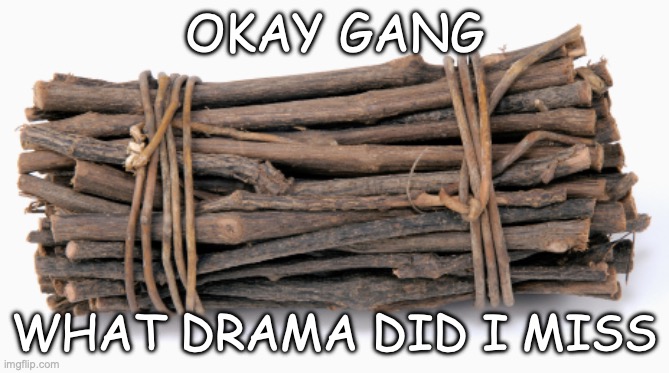 whoever comments is the image | OKAY GANG; WHAT DRAMA DID I MISS | image tagged in bundle of sticks | made w/ Imgflip meme maker