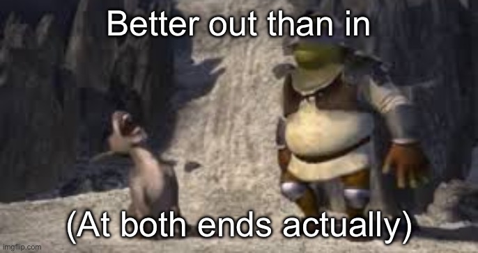 Fart joke | Better out than in (At both ends actually) | image tagged in shrek and donkey laughing | made w/ Imgflip meme maker