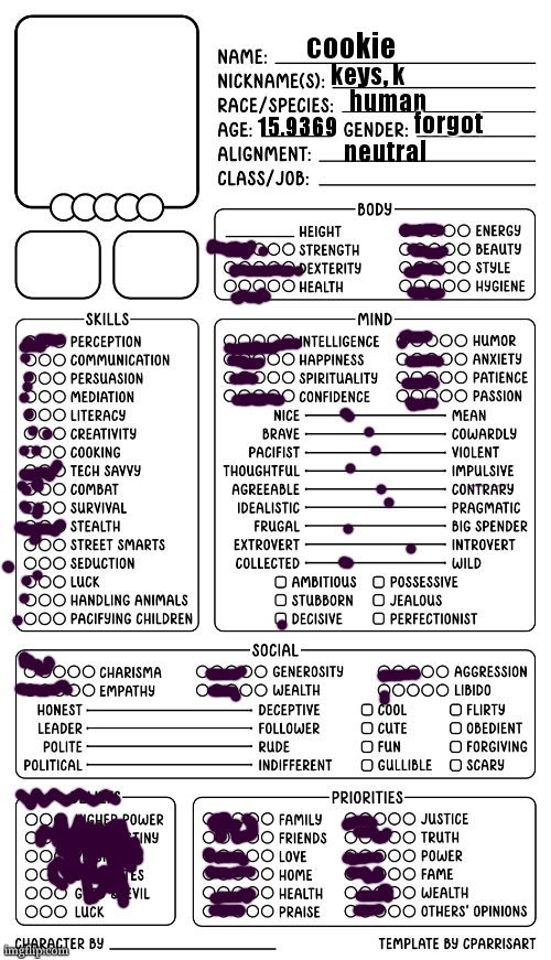 pens on an ereader are hard. (stupid touch screen) if you are to refer to me as "k" capitalise it. k? k. | keys, k; human; forgot; 15.9369; cookie; neutral | image tagged in character sheet by cparrisart | made w/ Imgflip meme maker