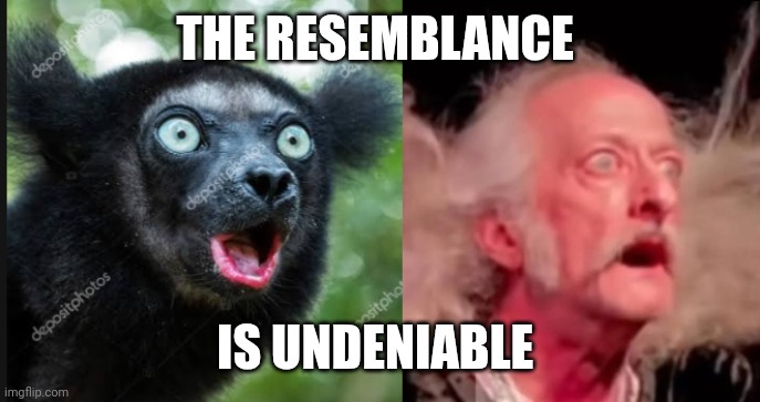 Doom | THE RESEMBLANCE; IS UNDENIABLE | image tagged in band | made w/ Imgflip meme maker