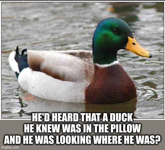 Actual Advice Mallard Meme | HE'D HEARD THAT A DUCK HE KNEW WAS IN THE PILLOW AND HE WAS LOOKING WHERE HE WAS? | image tagged in memes,actual advice mallard | made w/ Imgflip meme maker