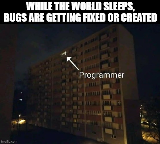 bugs | WHILE THE WORLD SLEEPS, BUGS ARE GETTING FIXED OR CREATED | image tagged in memes | made w/ Imgflip meme maker