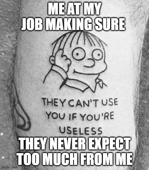 job | ME AT MY JOB MAKING SURE; THEY NEVER EXPECT TOO MUCH FROM ME | image tagged in memes | made w/ Imgflip meme maker