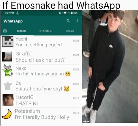 If x had whatsapp | If Emosnake had WhatsApp; Yachi
You're getting pegged; Giraffe
Should I ask her out? Neko
I'm taller than youuuuu 🥺; Del
Salutations fyne shyt 😼; LucotIC
I HATE NI-; Potassium
I'm literally Buddy Holly | image tagged in if x had whatsapp | made w/ Imgflip meme maker