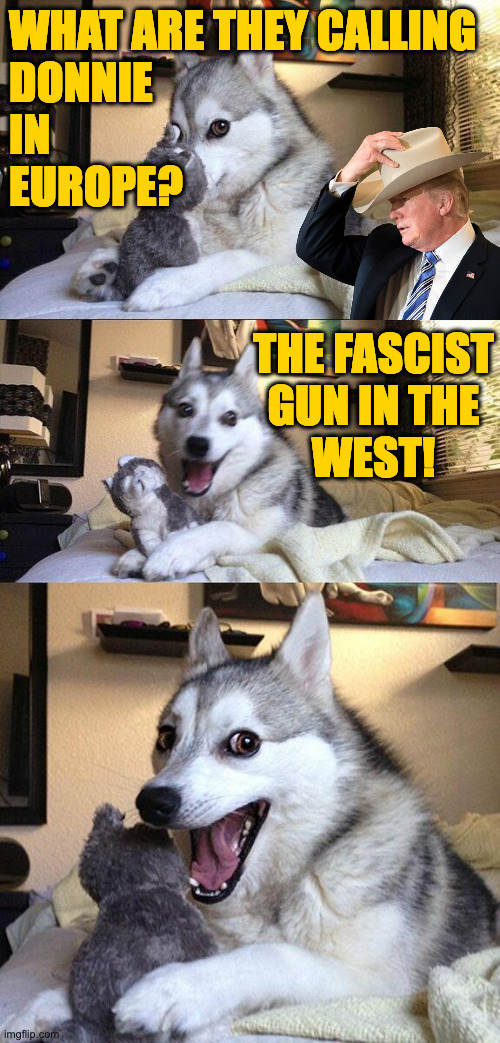 Well, now they will. | WHAT ARE THEY CALLING
DONNIE
IN
EUROPE? THE FASCIST
GUN IN THE
WEST! | image tagged in memes,bad pun dog,fascist donnie | made w/ Imgflip meme maker