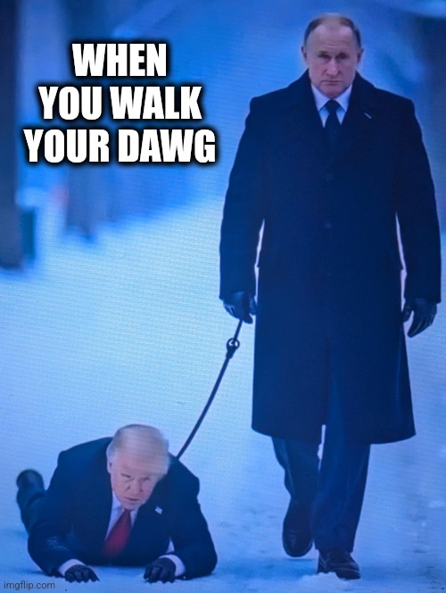 American Pet | WHEN YOU WALK YOUR DAWG | image tagged in putins puppet | made w/ Imgflip meme maker