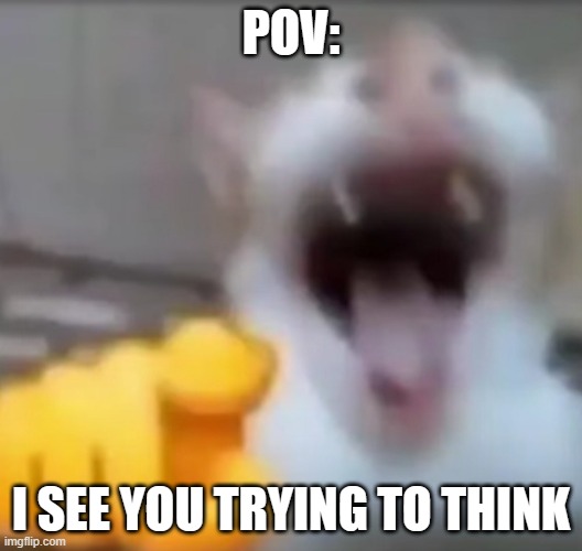 trying to think | POV:; I SEE YOU TRYING TO THINK | image tagged in cat pointing and laughing | made w/ Imgflip meme maker