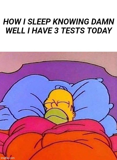 HOW I SLEEP KNOWING DAMN WELL I HAVE 3 TESTS TODAY | image tagged in blank white template,homer simpson sleeping peacefully | made w/ Imgflip meme maker