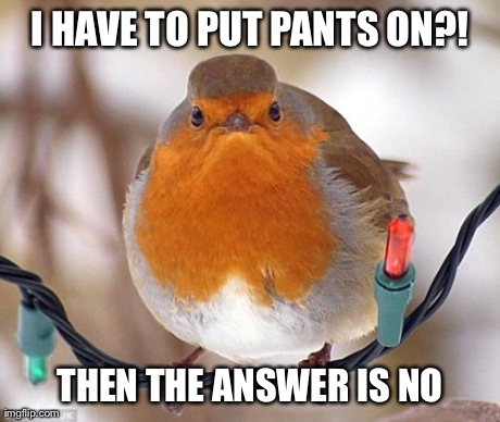 Bah Humbug Meme | I HAVE TO PUT PANTS ON?! THEN THE ANSWER IS NO | image tagged in memes,bah humbug | made w/ Imgflip meme maker