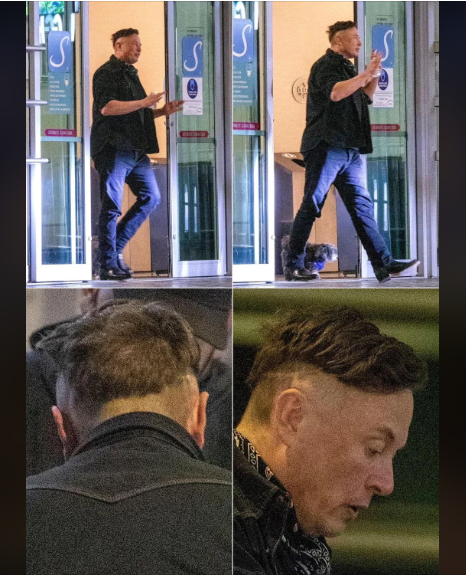 Haircut by Trump Blank Meme Template