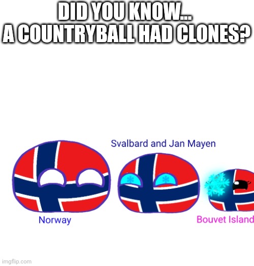 Countryball fact: | DID YOU KNOW... 
A COUNTRYBALL HAD CLONES? | image tagged in countryballs,polandball,norway | made w/ Imgflip meme maker