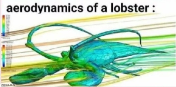 Aerodynamics of a lobster | image tagged in aerodynamics of a lobster,memes,funny,shitpost,science,wtf | made w/ Imgflip meme maker