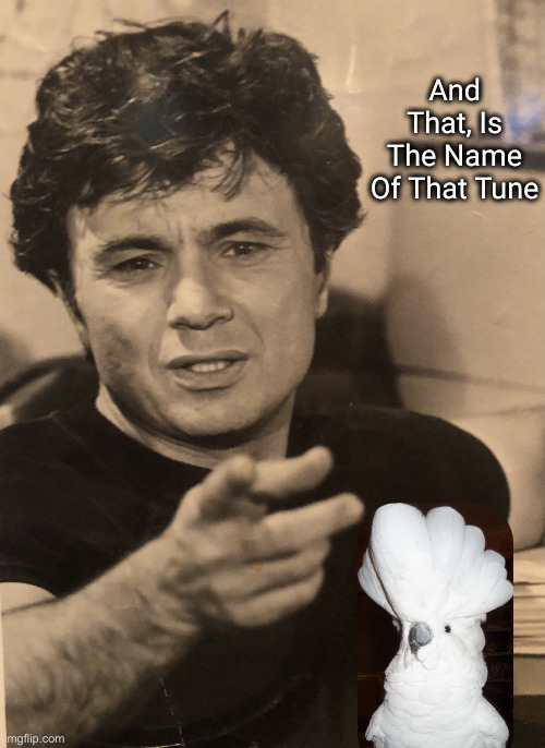 Baretta says | And That, Is The Name Of That Tune | image tagged in baretta says | made w/ Imgflip meme maker