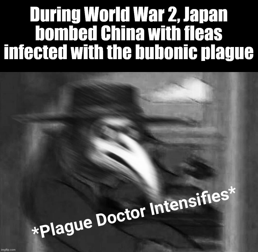 Plague warfare | During World War 2, Japan bombed China with fleas infected with the bubonic plague | image tagged in plague doctor | made w/ Imgflip meme maker