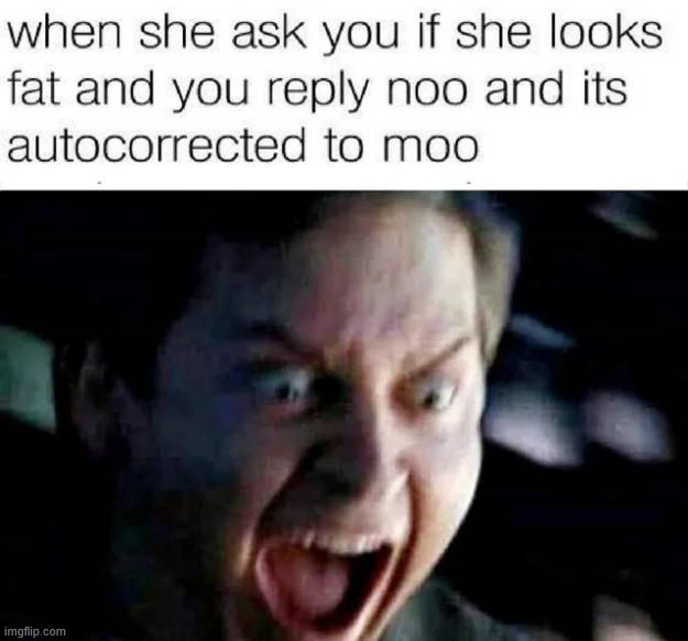 Not moo | image tagged in repost | made w/ Imgflip meme maker