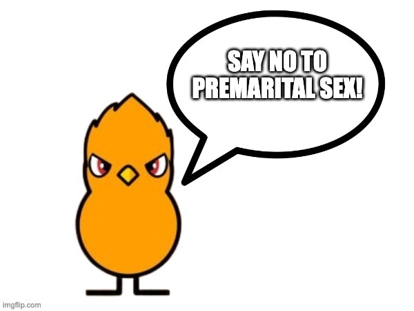 fun facts with nathaniel the duck/nathaniel the duck says! | SAY NO TO PREMARITAL SEX! | image tagged in memes,christian,marriage,god,bible,jesus | made w/ Imgflip meme maker