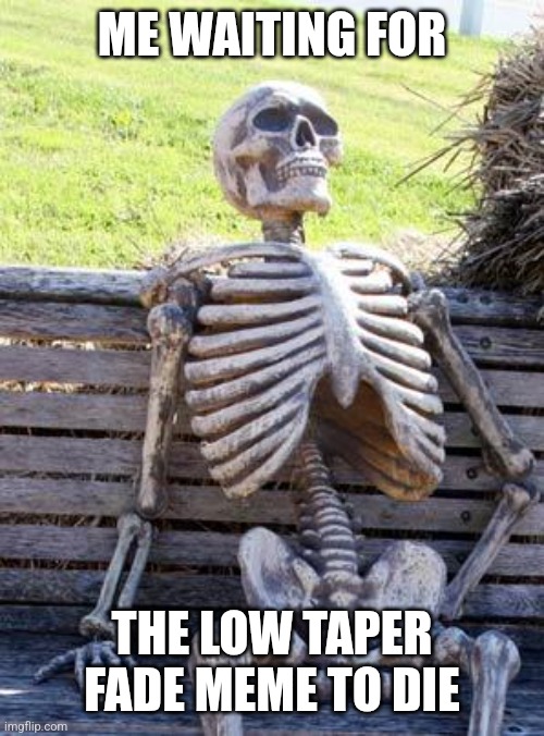 WE MUST NEVER LET IT DIE | ME WAITING FOR; THE LOW TAPER FADE MEME TO DIE | image tagged in memes,waiting skeleton,low taper fade | made w/ Imgflip meme maker