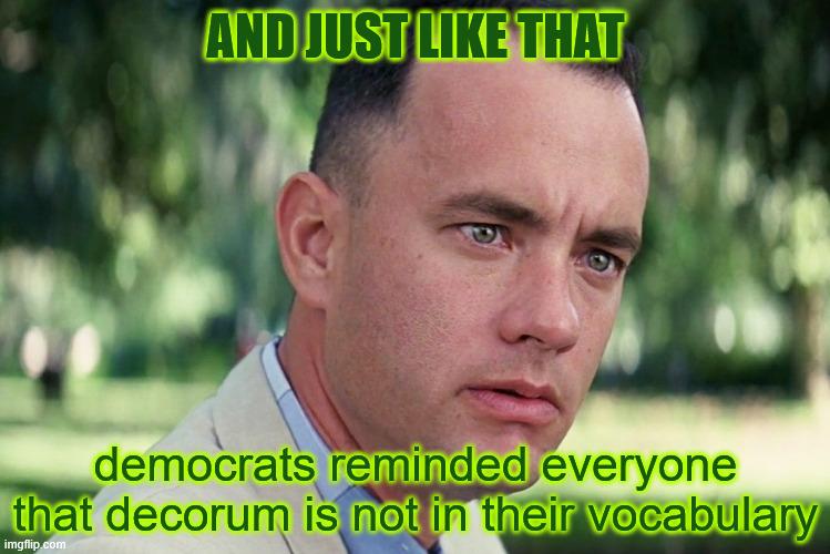 And Just Like That Meme | AND JUST LIKE THAT democrats reminded everyone that decorum is not in their vocabulary | image tagged in memes,and just like that | made w/ Imgflip meme maker