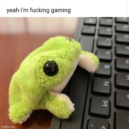 Me playing ck3 | image tagged in gaming,frog,memes,funny | made w/ Imgflip meme maker