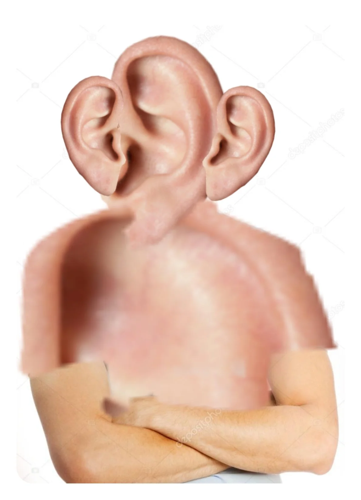 All ears Blank Meme Template