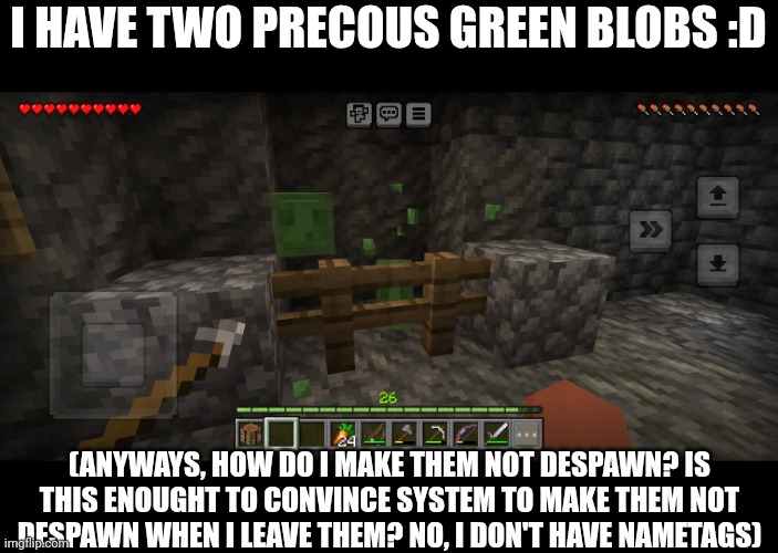 Two small slimes | I HAVE TWO PRECOUS GREEN BLOBS :D; (ANYWAYS, HOW DO I MAKE THEM NOT DESPAWN? IS THIS ENOUGHT TO CONVINCE SYSTEM TO MAKE THEM NOT DESPAWN WHEN I LEAVE THEM? NO, I DON'T HAVE NAMETAGS) | made w/ Imgflip meme maker