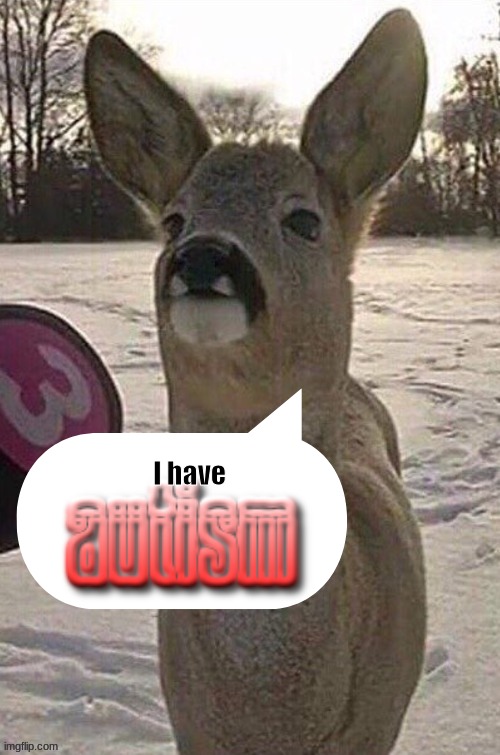 deer yap session | I have | image tagged in deer yap session | made w/ Imgflip meme maker