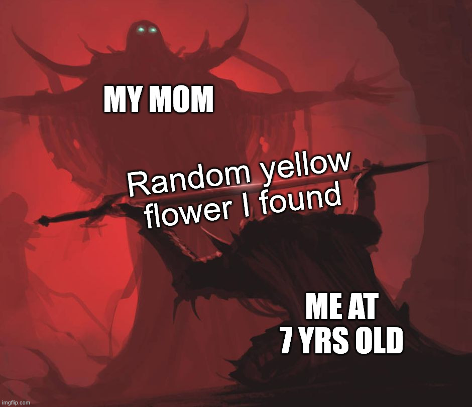 Become a hero to mom | MY MOM; Random yellow flower I found; ME AT 7 YRS OLD | image tagged in man giving sword to larger man | made w/ Imgflip meme maker